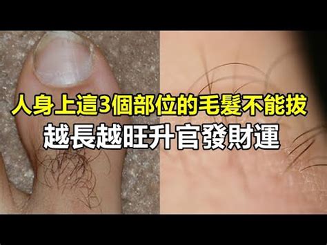 手毛變白|【手上長白毛】手上長白毛：究竟是吉兆還是疑難？